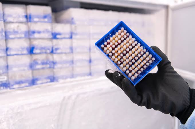 Sourcing Biospecimens in the Age of AI - Infiuss Health Sourcing Biospecimens in the Age of AI - Infiuss Health